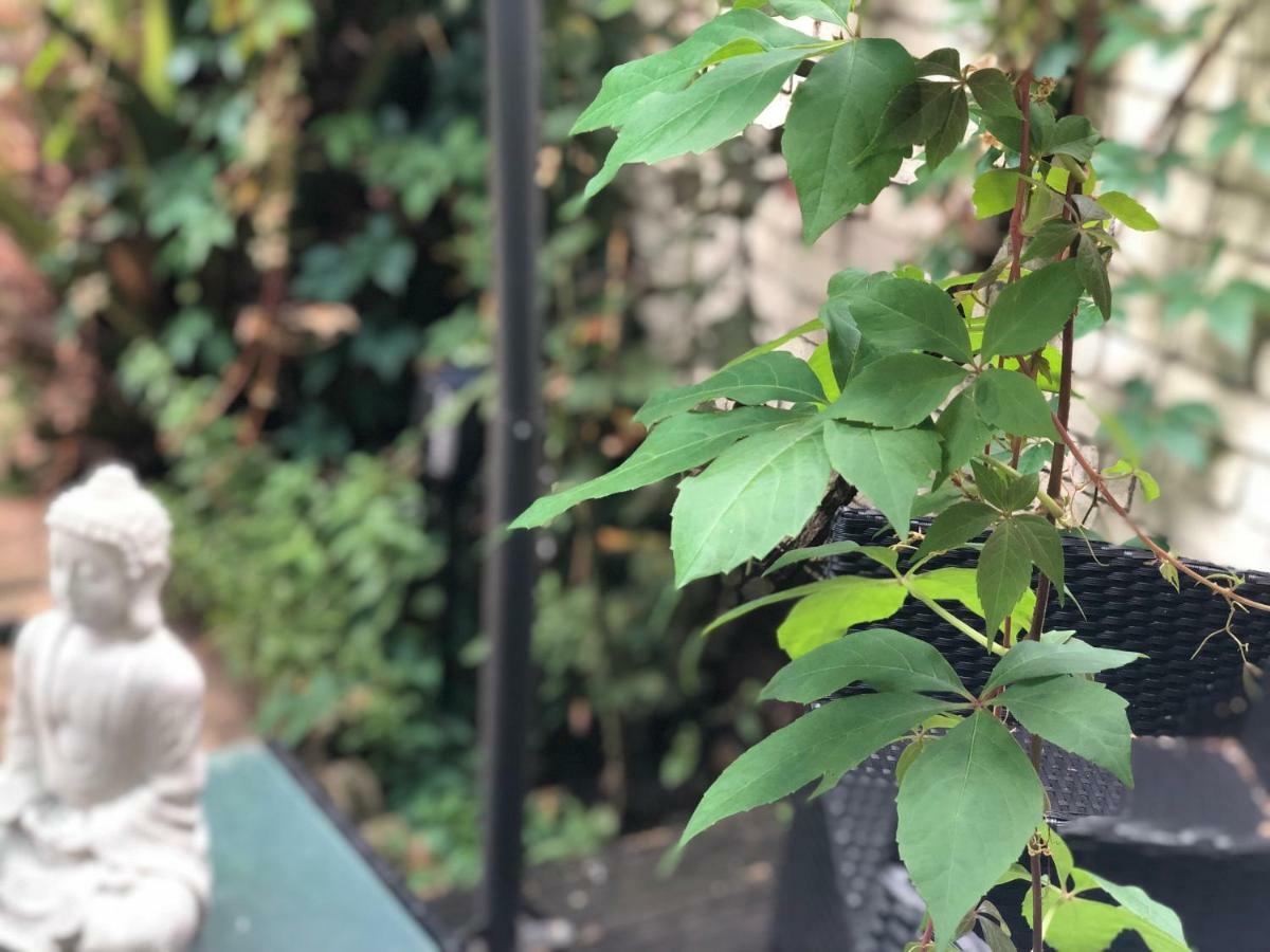 Chelsea Private Garden Maisonette Leilighet London Eksteriør bilde