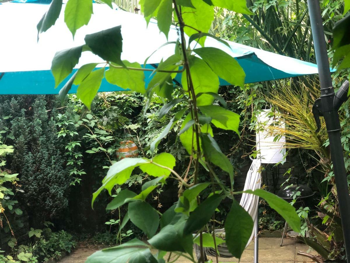 Chelsea Private Garden Maisonette Leilighet London Eksteriør bilde